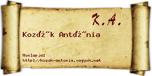 Kozák Antónia névjegykártya